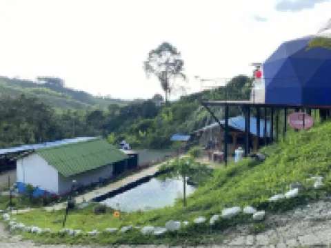 Hotel Glamping Horse Hoteles en Dosquebradas