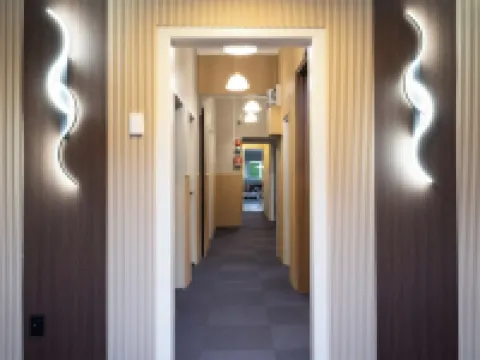 Flying Pig Backpackers Rotorua Hotels in Rotorua