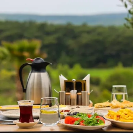 Pinhan Hotel Kazdaglari