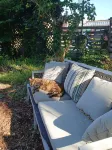 ~Downtown Frederick, Free Parking, Fall Festivities, Brew & Arts, Shopping - 3-Sterne