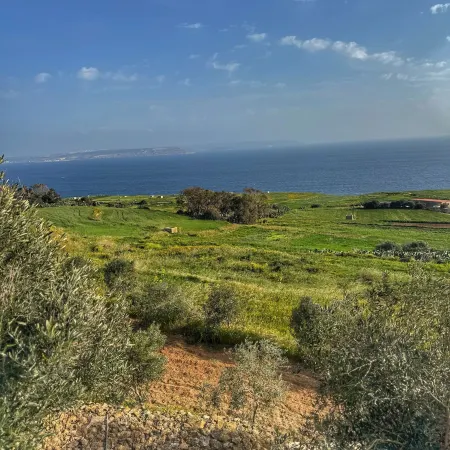 Dona Margerita D'aragona