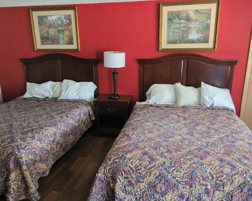 Lion Inn Hotels in Albemarle
