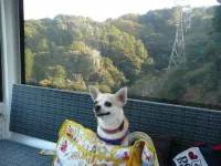 Komatsuya Hachinobou - Mountain view