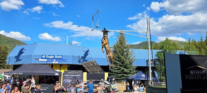 Contemporary luxury home in the heart of Silverthorne Ξενοδοχεία στην πόλη Silverthorne