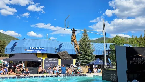 Contemporary luxury home in the heart of Silverthorne - 4-Star