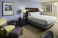 Hilton Garden Inn Raleigh-Durham Airport - Pet friendly