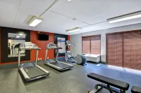 Hampton Inn Cincinnati-Airport South - Gym