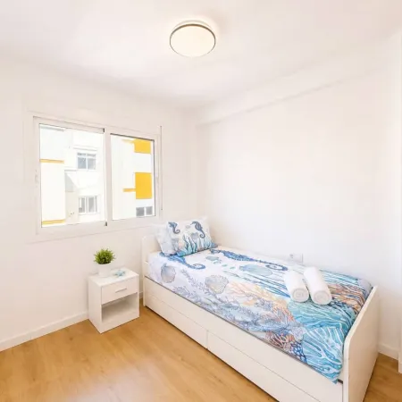 Terrasol J Piter 9 Planta