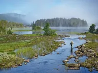 Havsdalsgrenda