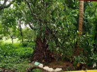 Hi5 Holiday Apartments - Udupi Hôtels à : Malpe