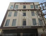 Bilberry Hotel