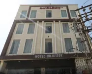 Bilberry Hotel Hotels in Rewari