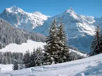 Wychel