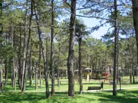 Parco Hemingway
