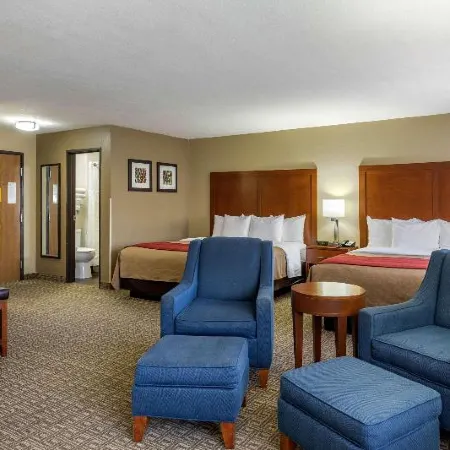 Comfort Inn Near Gila National Forest