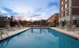 Hampton Inn & Suites Williamsburg-Central