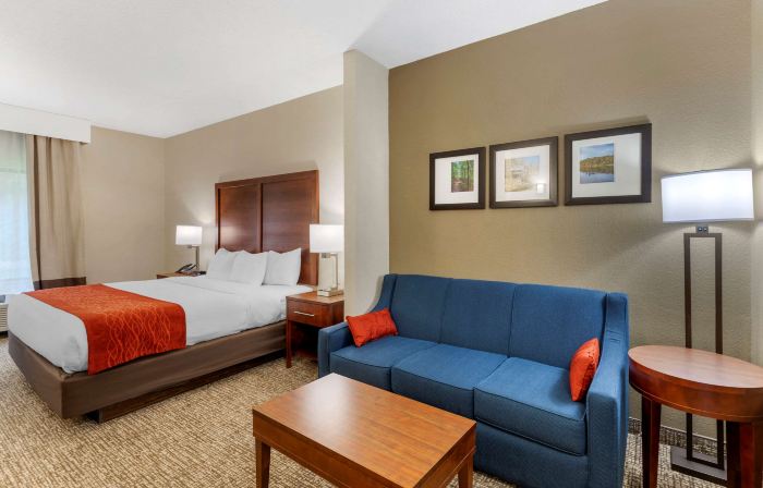 Comfort Inn & Suites Canton Riverstone Area