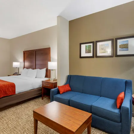 Comfort Inn & Suites Canton Riverstone Area