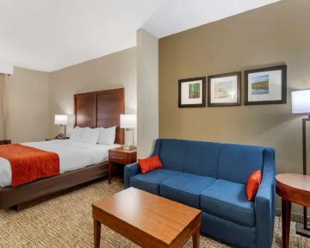 Comfort Inn & Suites Canton Riverstone Area Hotels in Canton