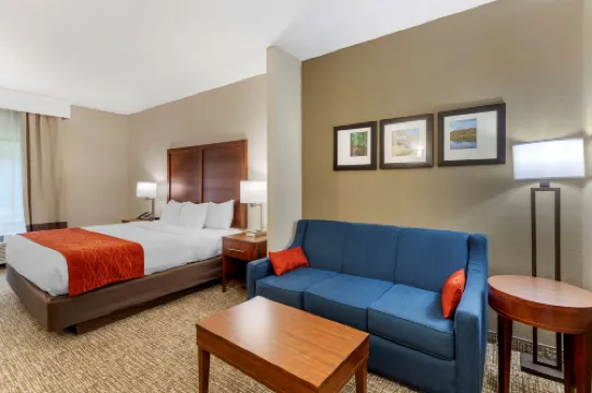 Comfort Inn & Suites Canton Riverstone Area