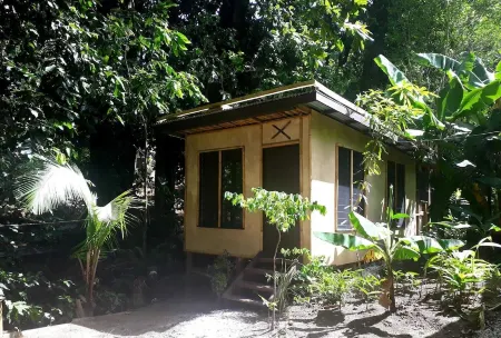 Dolphin Bay Divers Retreat