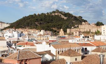 Petit Palace Plaza Malaga Hotel