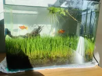 Zhaoqingping Apartment (Taiping Road No. 2)