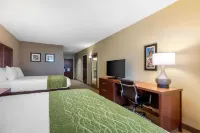 Comfort Inn & Suites at CrossPlex Village Hotels in 