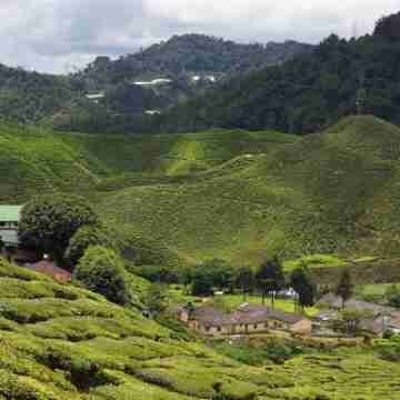 Silverstar Apartment @ Greenhill Resort Others