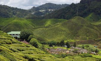 KRS Pines Guest House Cameron Highlands