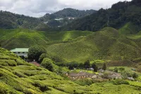 Zermatt Hotel Hotels in Cameron Highlands