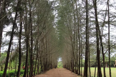 Cozy Apartement Next to Ikea Отели рядом с достопримечательностью «TPQ Ar Riyad»