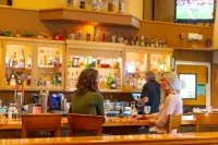 Icicle Village Resort - bar