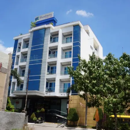 Blueberry Tourist Hotel