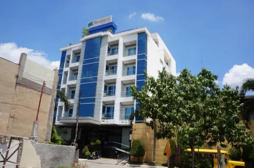 Blueberry Tourist Hotel - spa