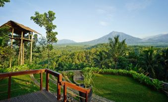 Jiwa Jawa Resort Ijen