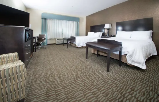 希爾頓歡朋酒店-赫南多