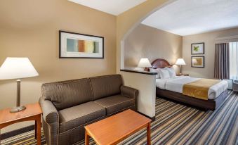 Comfort Suites Chesapeake - Norfolk