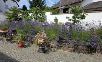 Winzerhaus am Eckbach