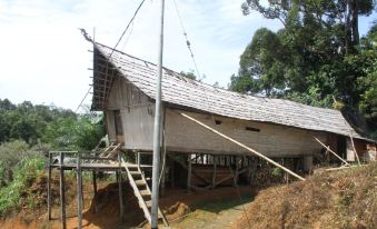 Arut Riverside Orangutan Guest House