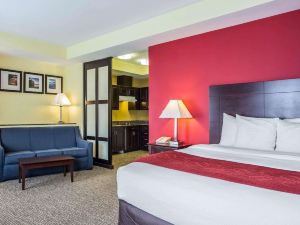 Comfort Suites Rock Hill Manchester Meadows Area