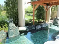 Hotel Lake Villa Hotels in Iga