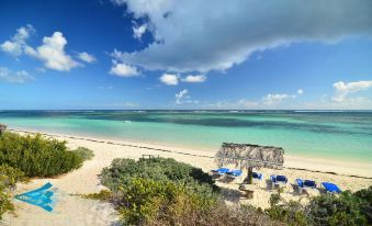 a beautiful beach with clear blue water , white sand , and numerous umbrellas set up for people to relax and enjoy the sunny day at Anegada Beach Club