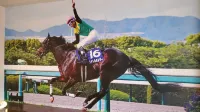 Shizunai Eclipse Hotel Hotels in Shinhidaka