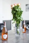 Am Ostedeich - Homestays