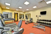 Hyatt Place Chicago Warrenville Naperville - Gym