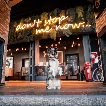 Me and All Hotel Hanover, by Hyatt Отели рядом с достопримечательностью «Рыночная церковь»