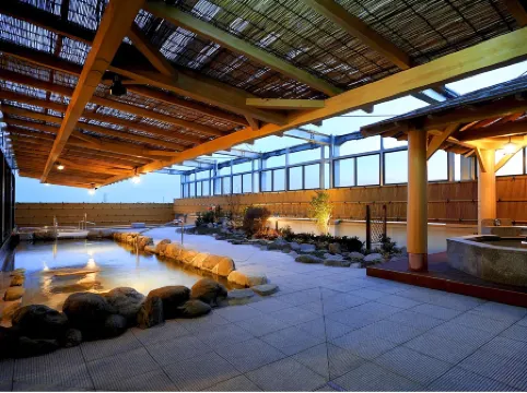 Tokyo Yugawara Onsen Manyo No Yu