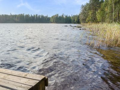 Kissankello