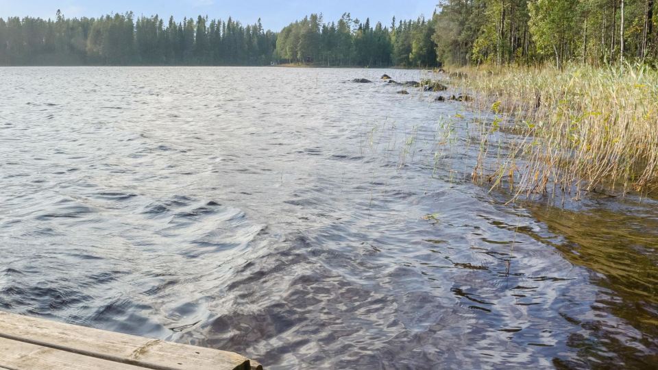 Kissankello